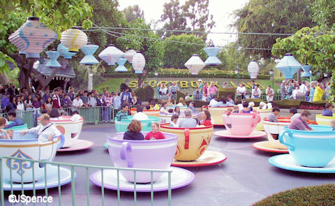 amusement teacup ride for family