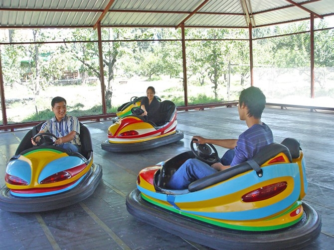 Floor Grid Bumper Cars