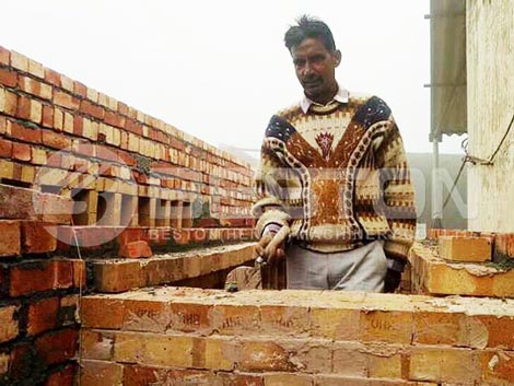 Build-Egg-Tray-Drying-Line-in-India