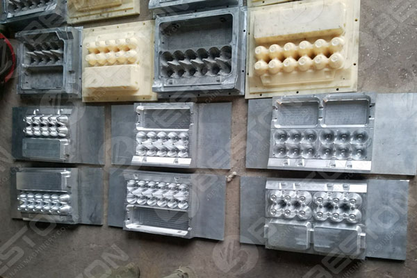 Egg Carton Molds
