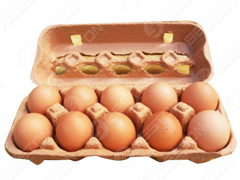 10 Egg Carton