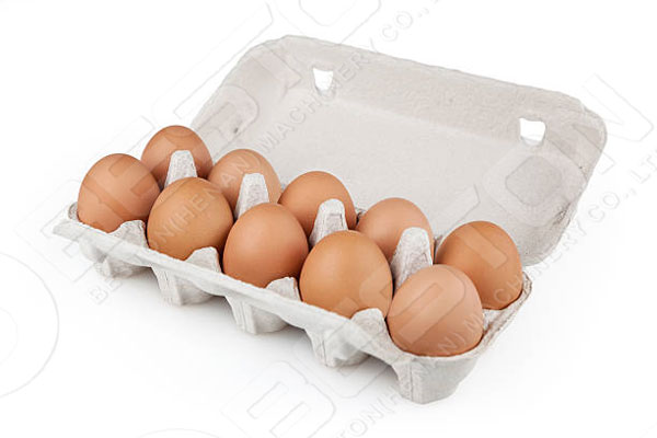 10 Egg Box